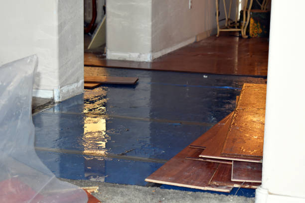 Professional Burst Pipe Cleanup technician working in Stanchfield, MN